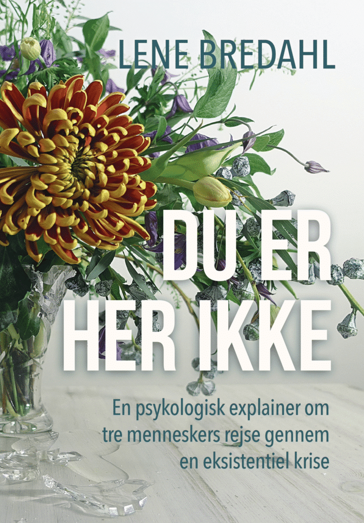 Du-er-her-ikke-forside.png